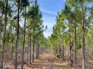 684 Bowen Padgett Rd, Jacksonville, GA 31544