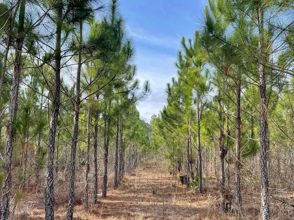 684 Bowen Padgett Rd, Jacksonville, GA 31544