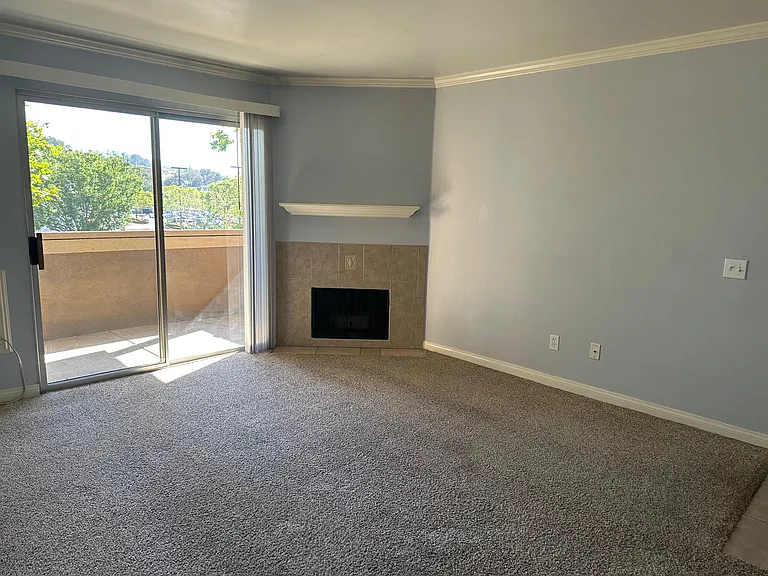 205 Woodland Pkwy #238 — Photo 3