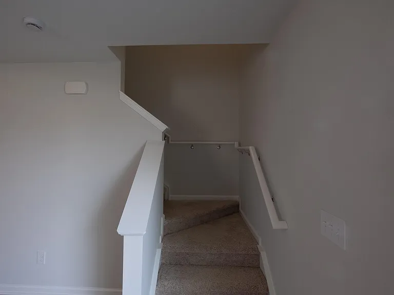309 Ridley Hill Ln — Photo 8