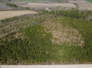 TRACT 1 Greyhound Rd, Mershon, GA 31551