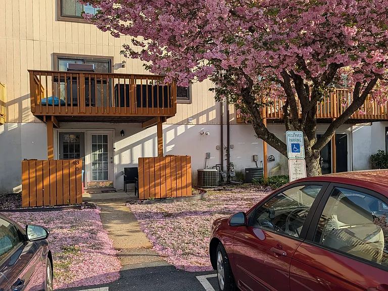 43-5 Azalea Way #WHOLE HOUSE — Photo 19