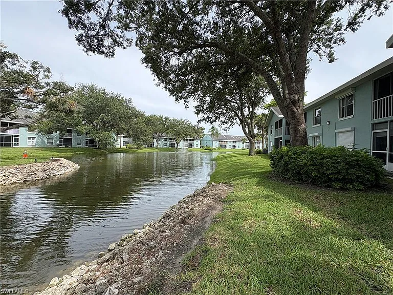 Wading Bird Cir — Photo 36