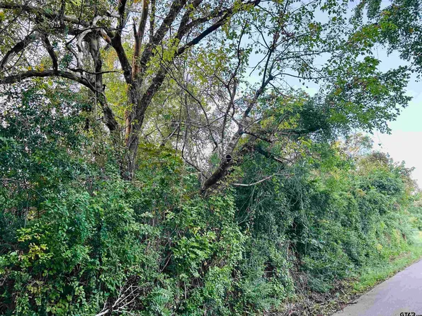 Jerome St, Rusk, TX 75785