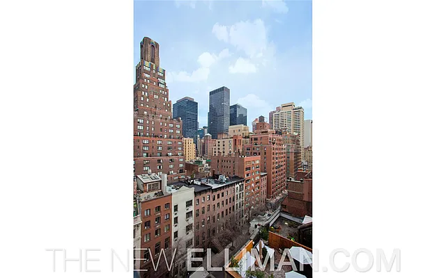 Rented by Douglas Elliman | media 25