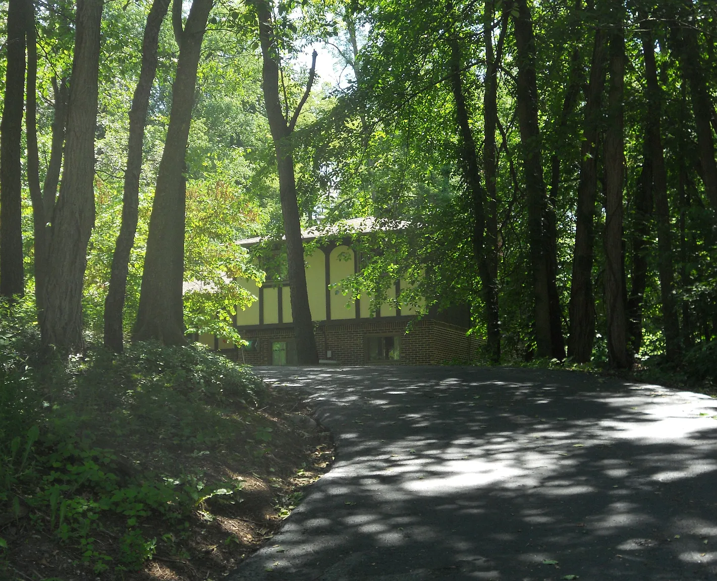 1195 Tracilee Dr photo 1