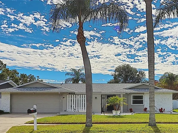4104 Summerdale Dr, Tampa, FL 33624