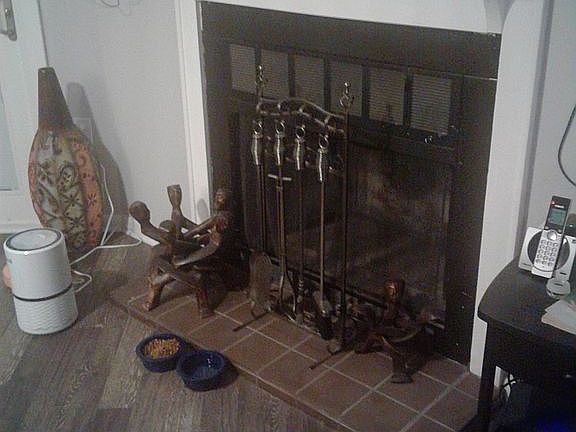 Wood Burning Fireplace