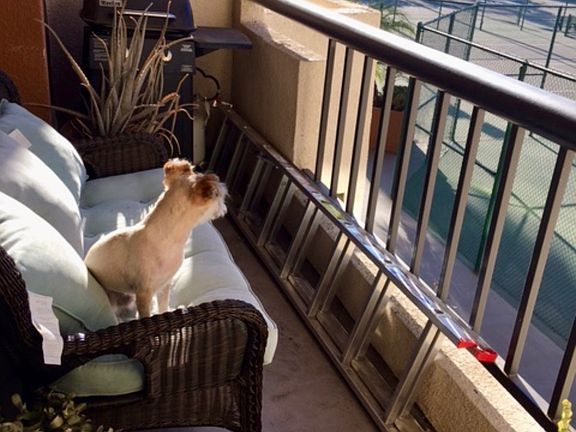 3rd image of 5565 Canoga Ave APT 210