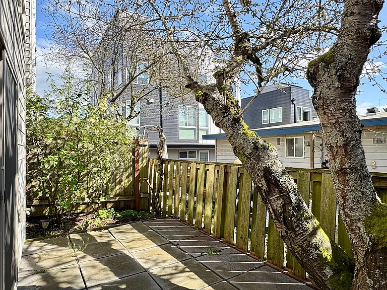 Fully Fenced Yard