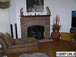 Den with Fireplace