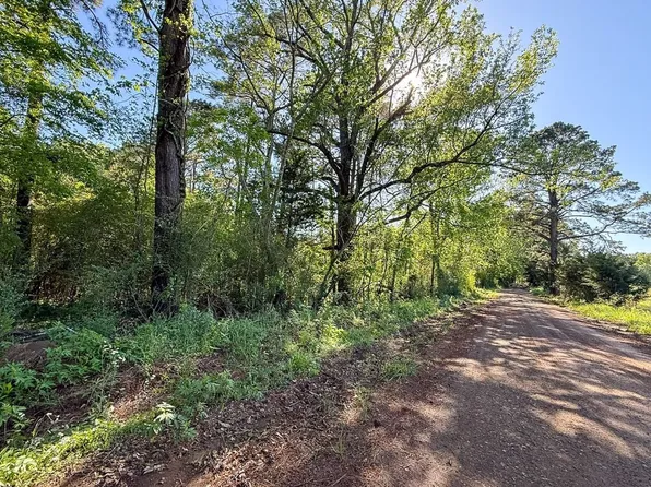 Flat Rd, Milam, TX 75959
