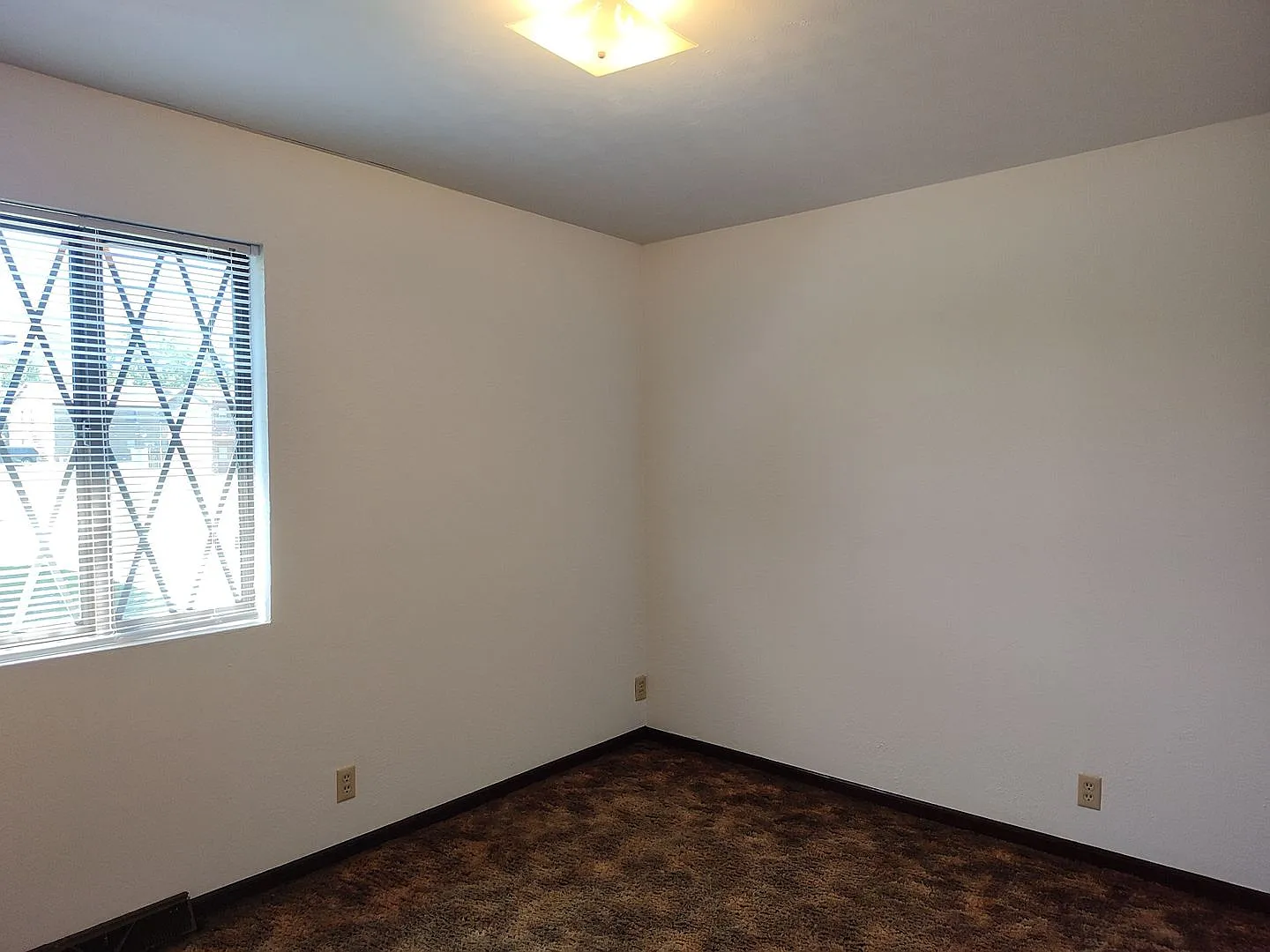 Boxwood 601 — Photo 4