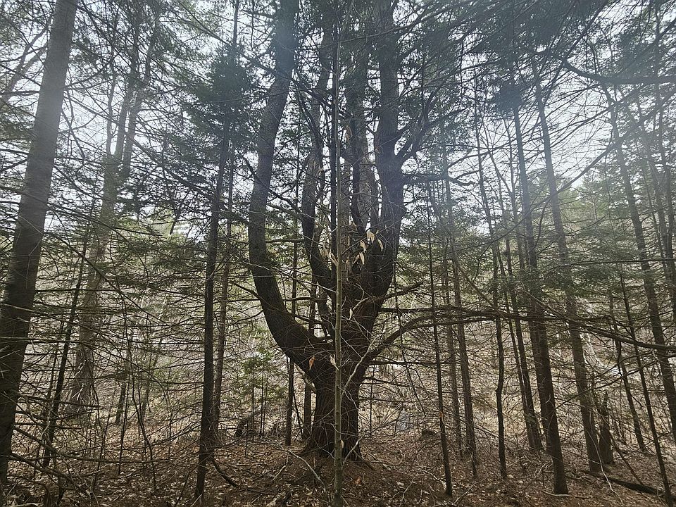 2nd image of Gore Rd