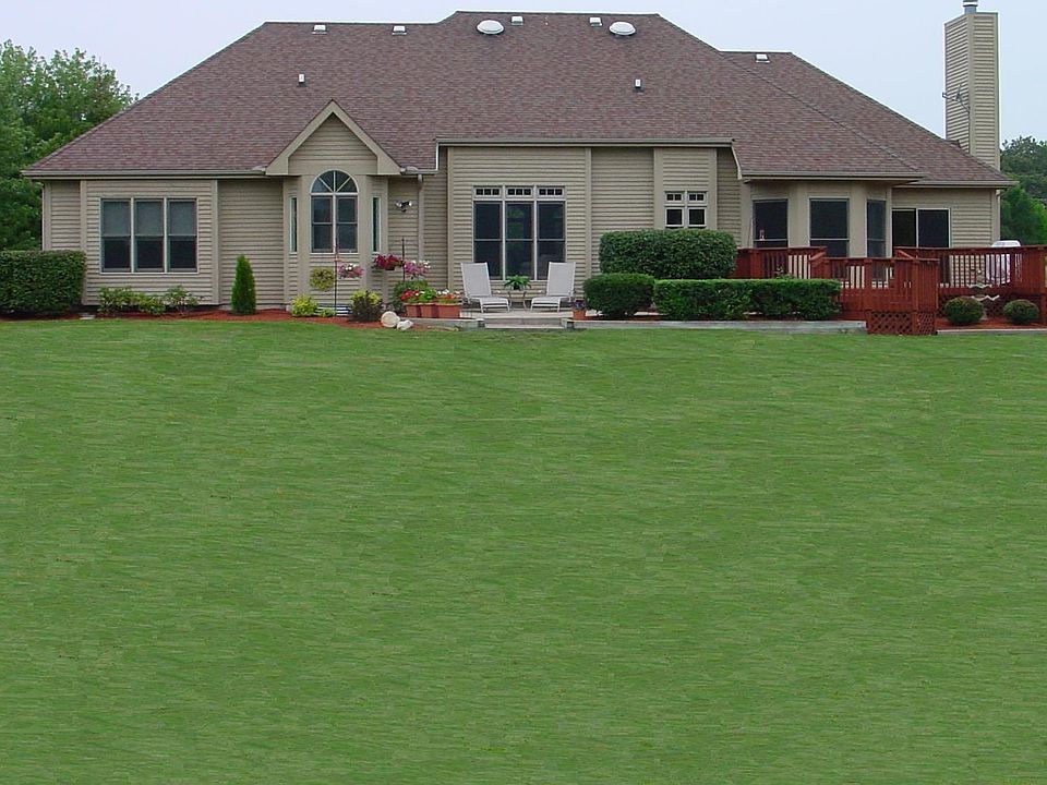 Back of House