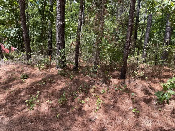 454 San Saba Ln, Mount Vernon, TX 75457