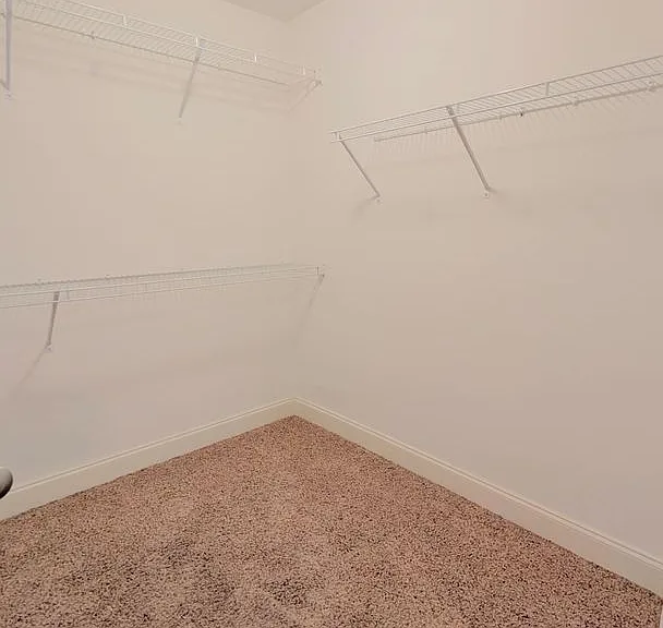 4780 Lost Creek Dr — Photo 19