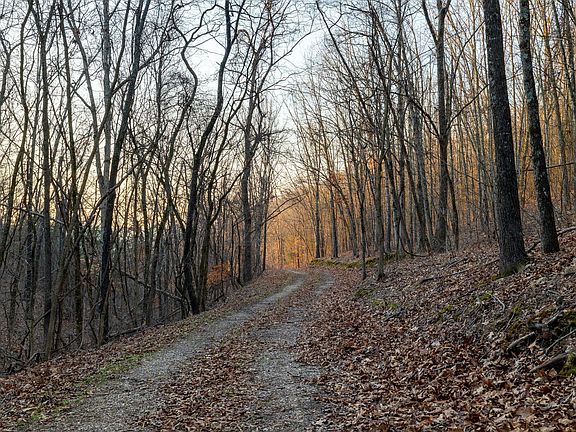 102nd image of this home