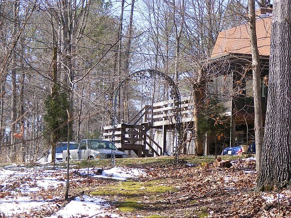 A rear view from the woods