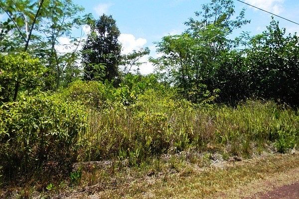 1st image of 6th Ave Lot 2251