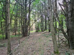 351 Hardscrabble Rd, Lowman, NY 14861