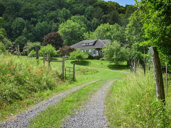 120 Teaberry Rd, Roan Mountain, TN 37687