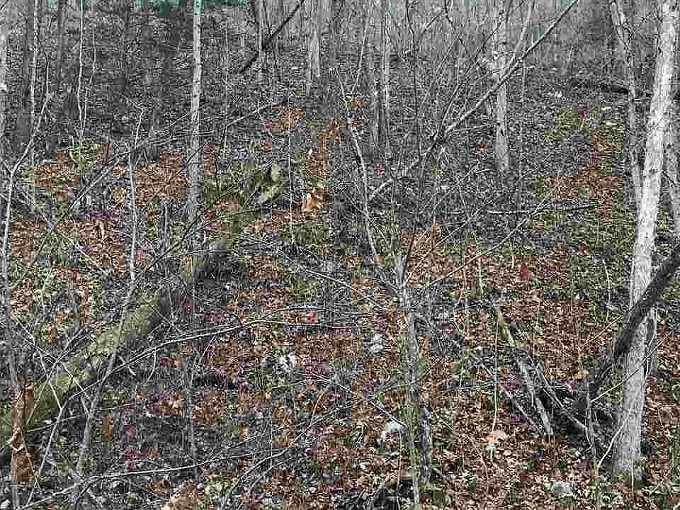 2nd image of Tbd South Creek Rd #6
