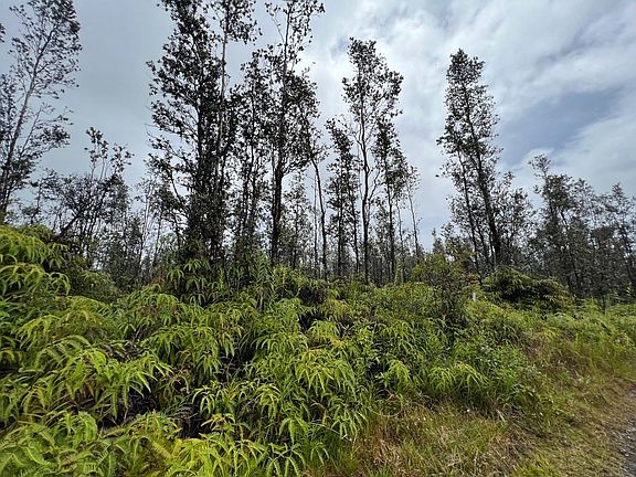 4th image of Road 5 Lot 3959