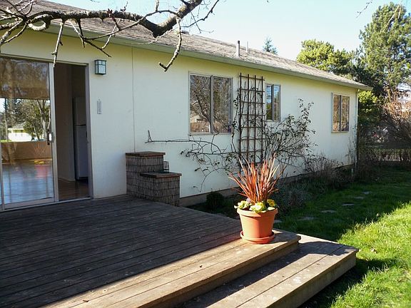 Back yard view