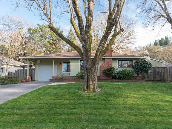 _2_141 Sequoia 02.jpg