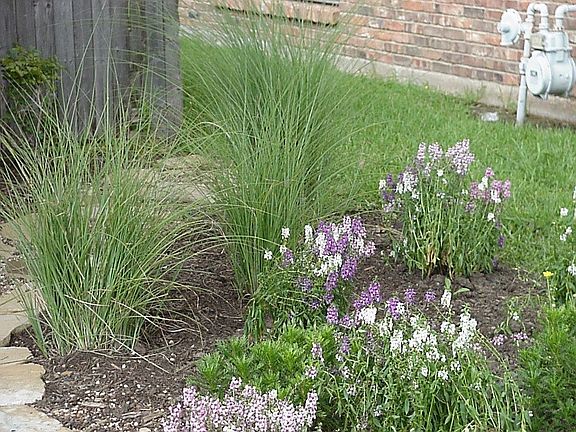 Spring 2006
