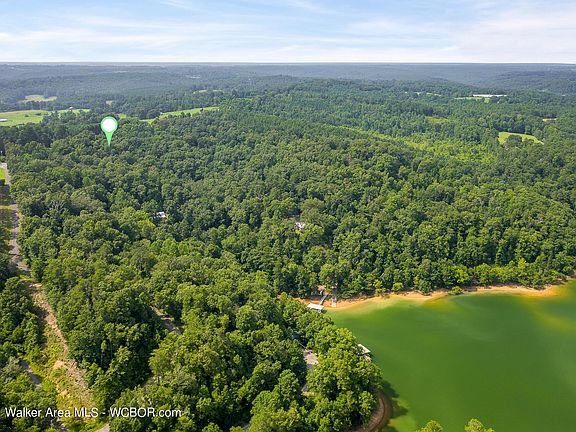 Image 4: Close to Smith Lake