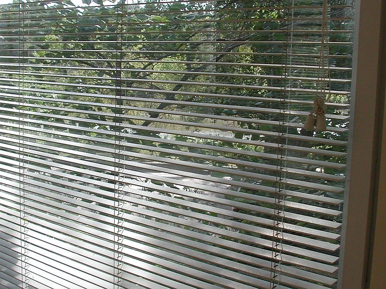 River view through wood mini blinds in LR