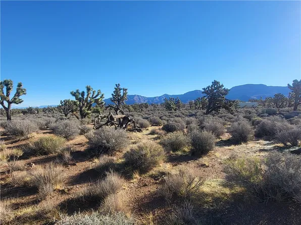 26836 N Sandy Point Drive, Meadview, AZ 86444