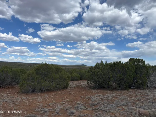 33 Co Rd, Vernon, AZ 85940