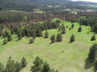 Nka S Jons Rd, Mica, WA 99023