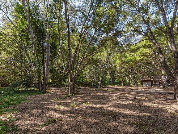 4th image of 231 & 241 Georgia Ln
