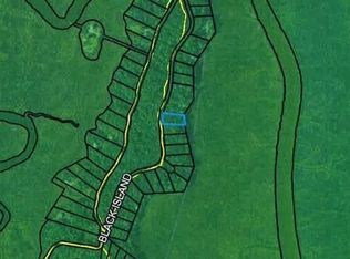 1462 Black Is, Darien, GA 31305