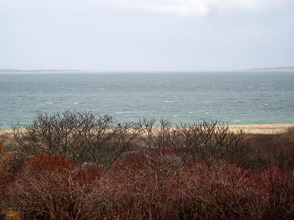 View across the street