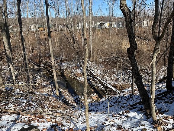 5th image of 6399 Newton Falls Rd