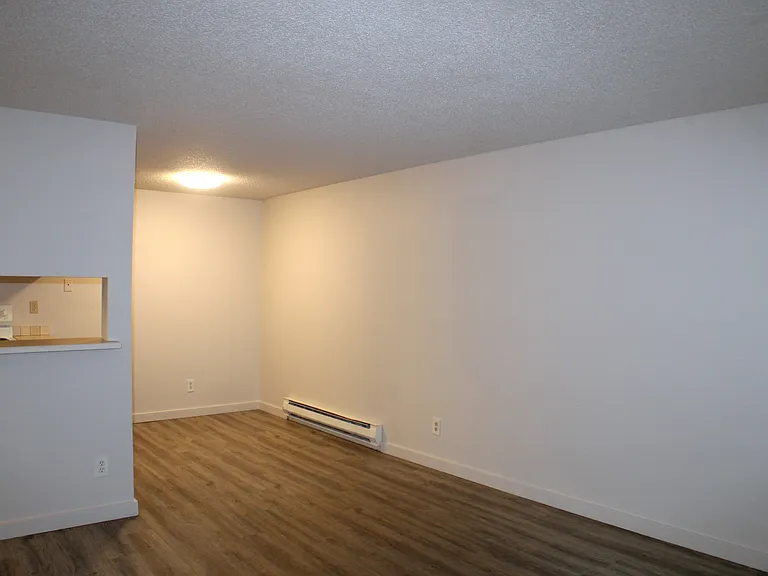 Spring Lake Apartments — Photo 4