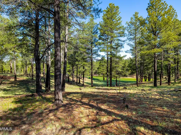 3647 S Woodland Hills Drive #367, Flagstaff, AZ 86005