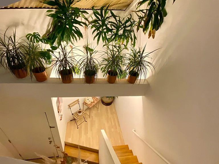 Highlighting vaulted ceiling from perspective of upstairs.