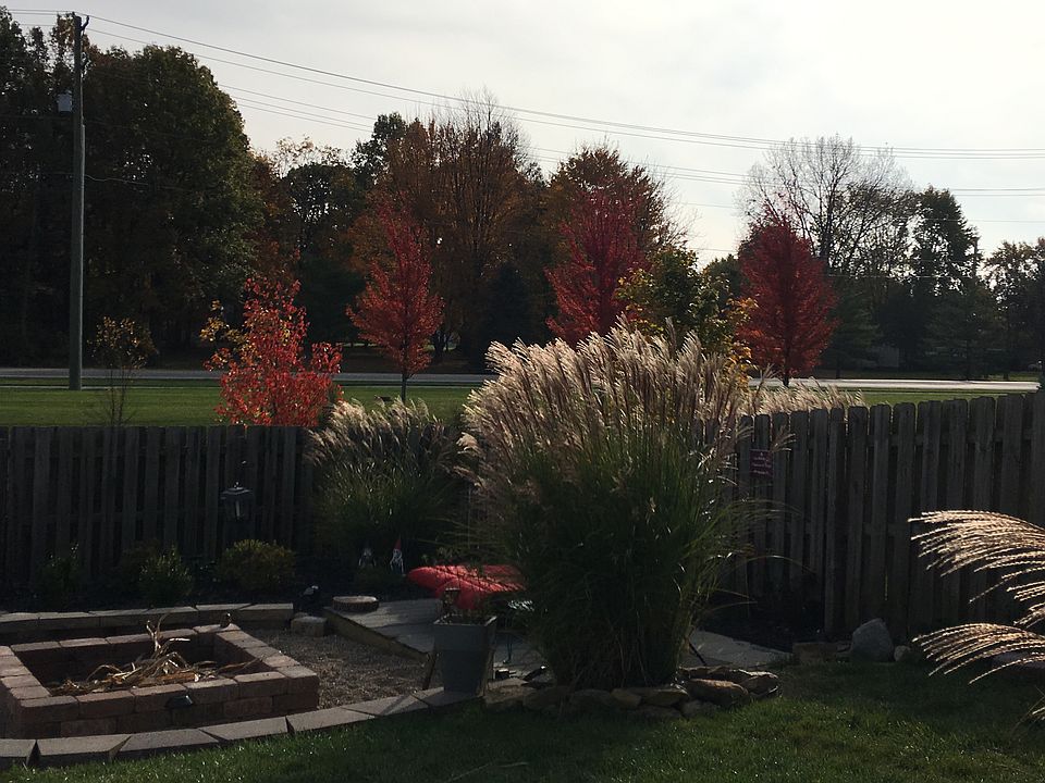 Back yard overlooking water