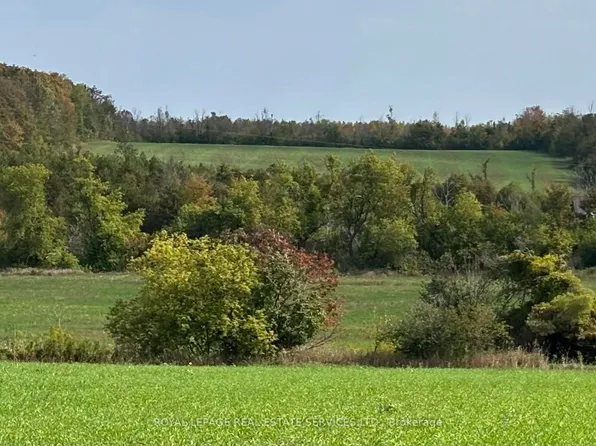 58111 12th Line, Meaford, ON N4L 1W5