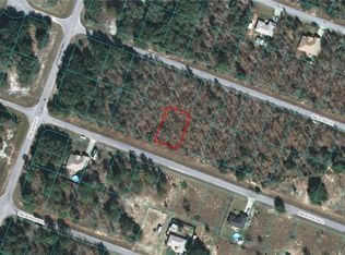 0 Malauka Radl #12, Ocklawaha, FL 32179