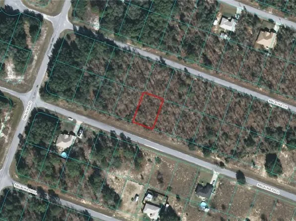 0 Malauka Radl #12, Ocklawaha, FL 32179