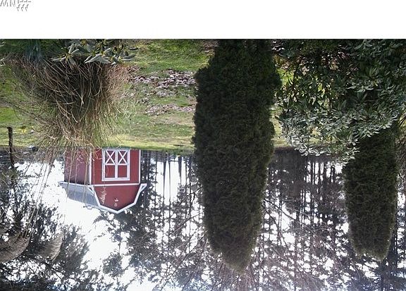 View from back patio