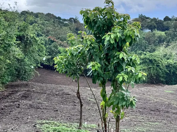 Km 3 Prairie Carolina Lot B-859, Carolina, PR 00987