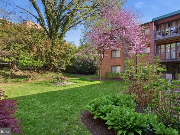 2325 42nd St NW APT 220, Washington, DC 20007
